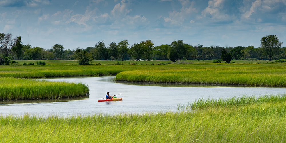 person in kayak in coastal river surrounded by green marsh grass